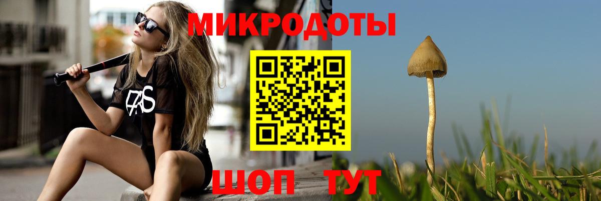 Уварово  Псилоцибиновые грибы MAGIC MUSHROOMS  Вход с VPN 