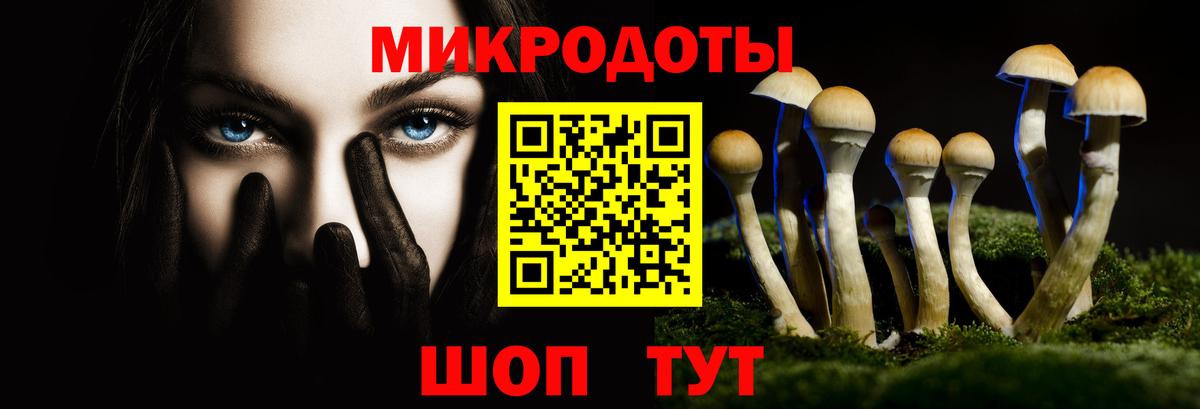 Галлюциногенные грибы Psilocybine cubensis Уварово